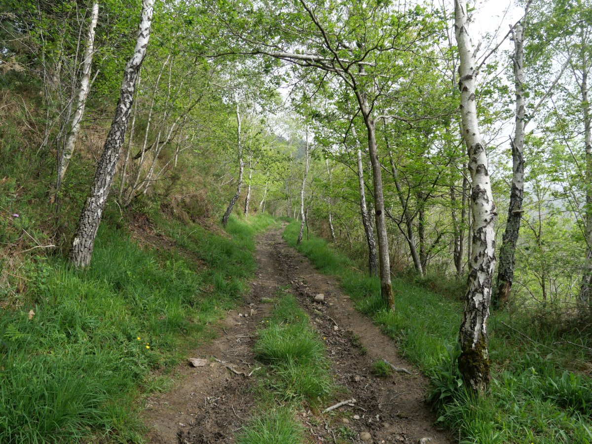 Basopoetatik gorako pasarte bat