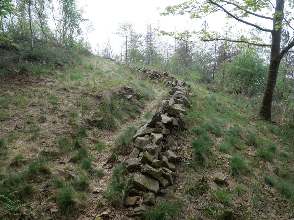 Lubakien arrastoak tontorraren inguruan