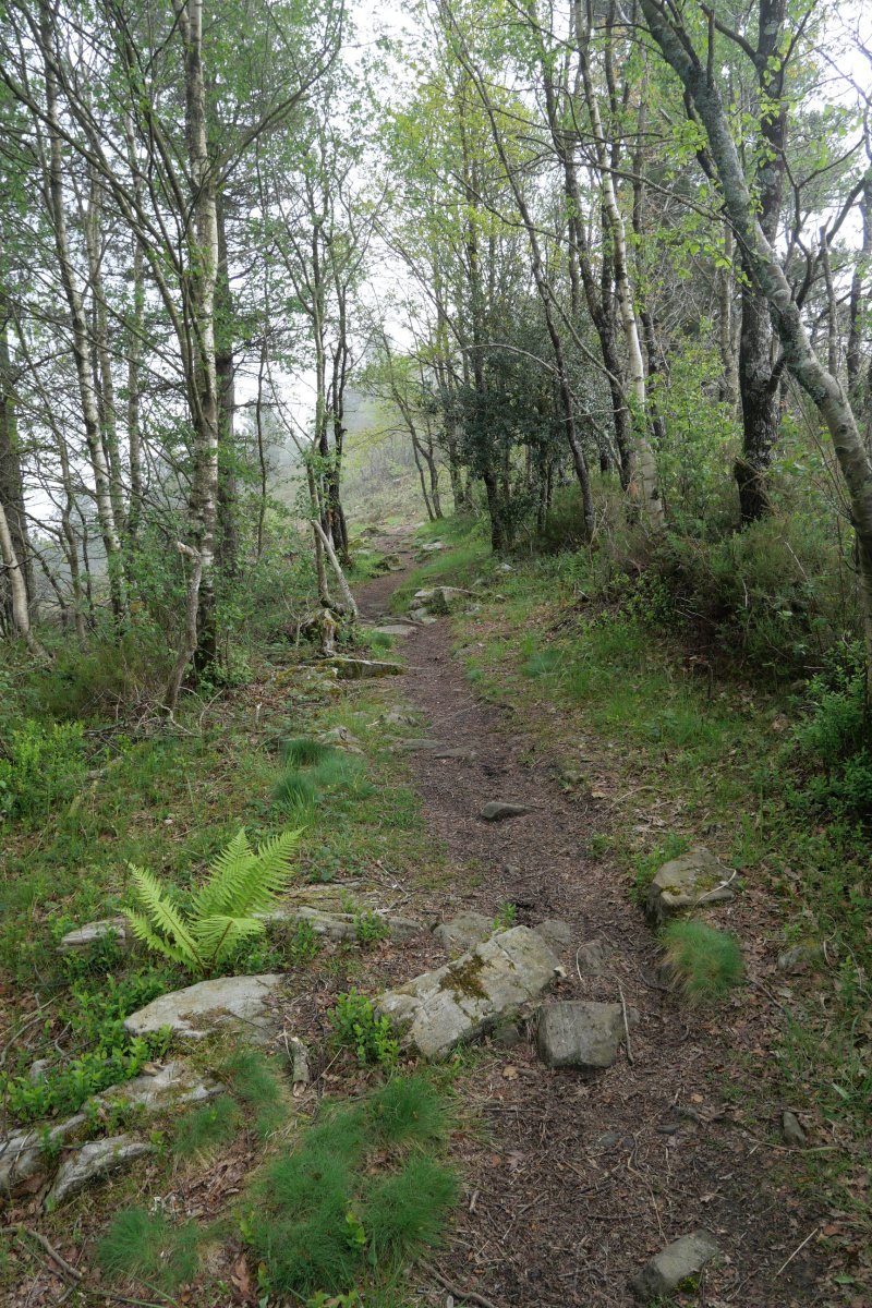 Bidea trikuharriaren inguruan