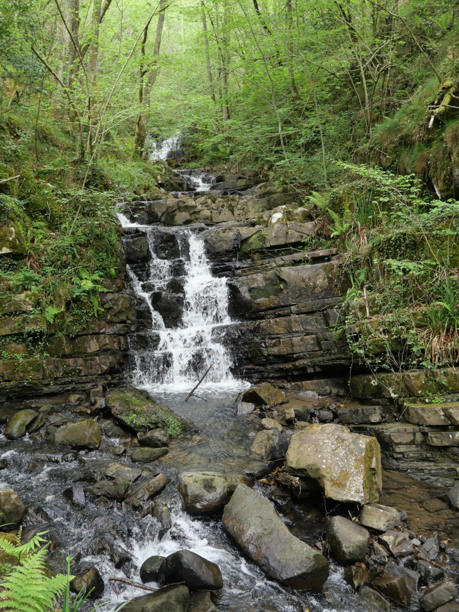 Zatxoeta erreka Atxulondo inguruan