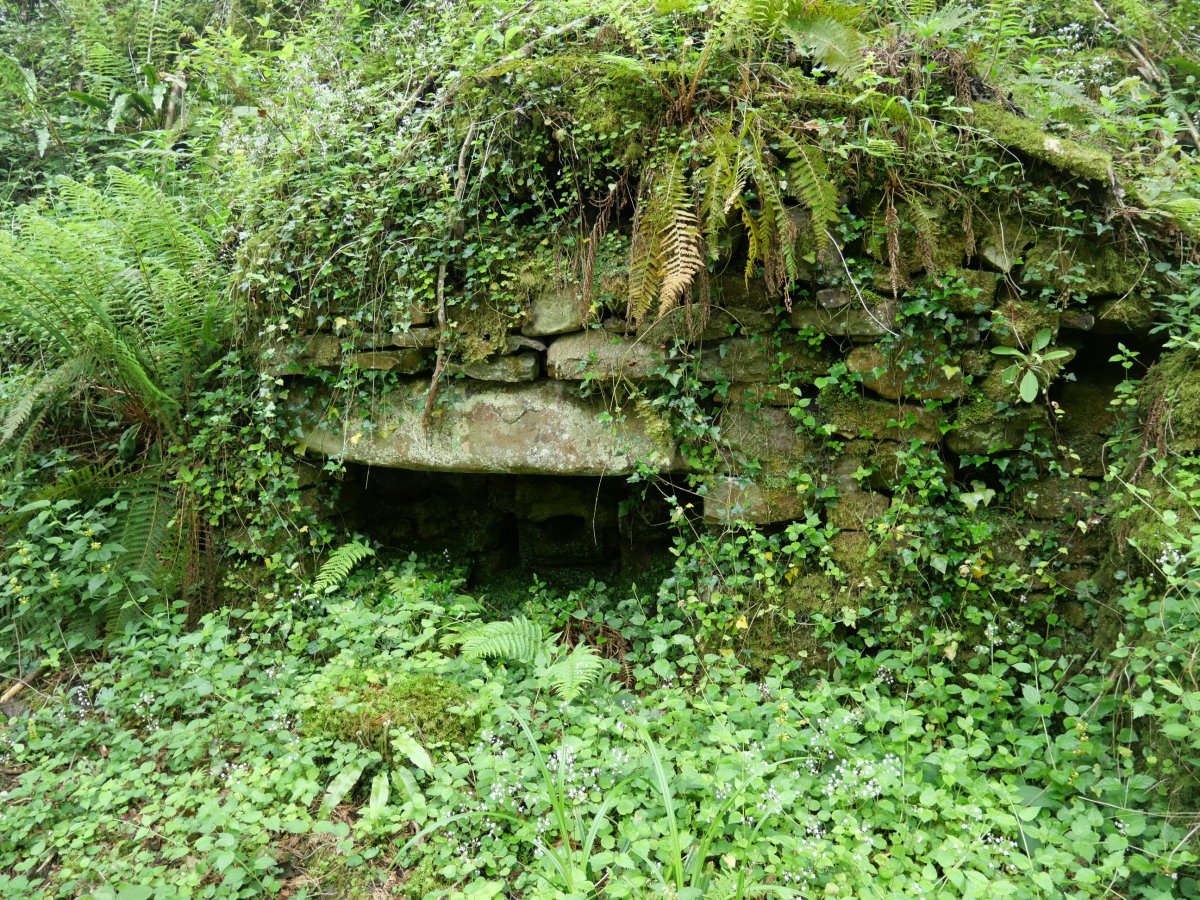 Atxulondo burdinolaren aurriak