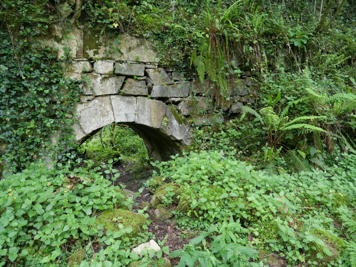 Atxulondo burdinolaren aurriak