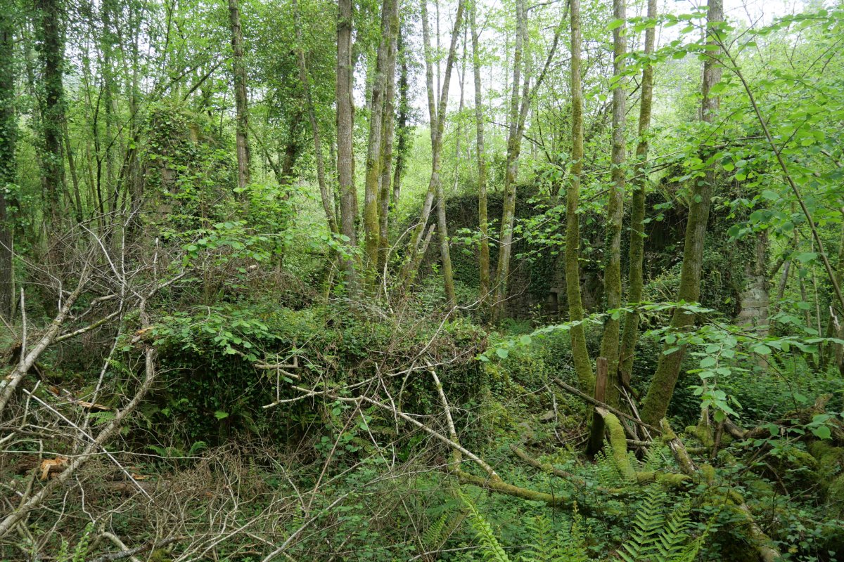 Atxulondo burdinolaren aurriak