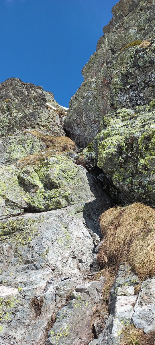 Anayet (2574m) azken zatiko tximinia