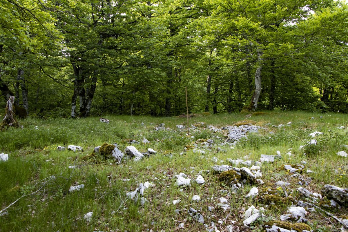 Alto de Basazelaia 2