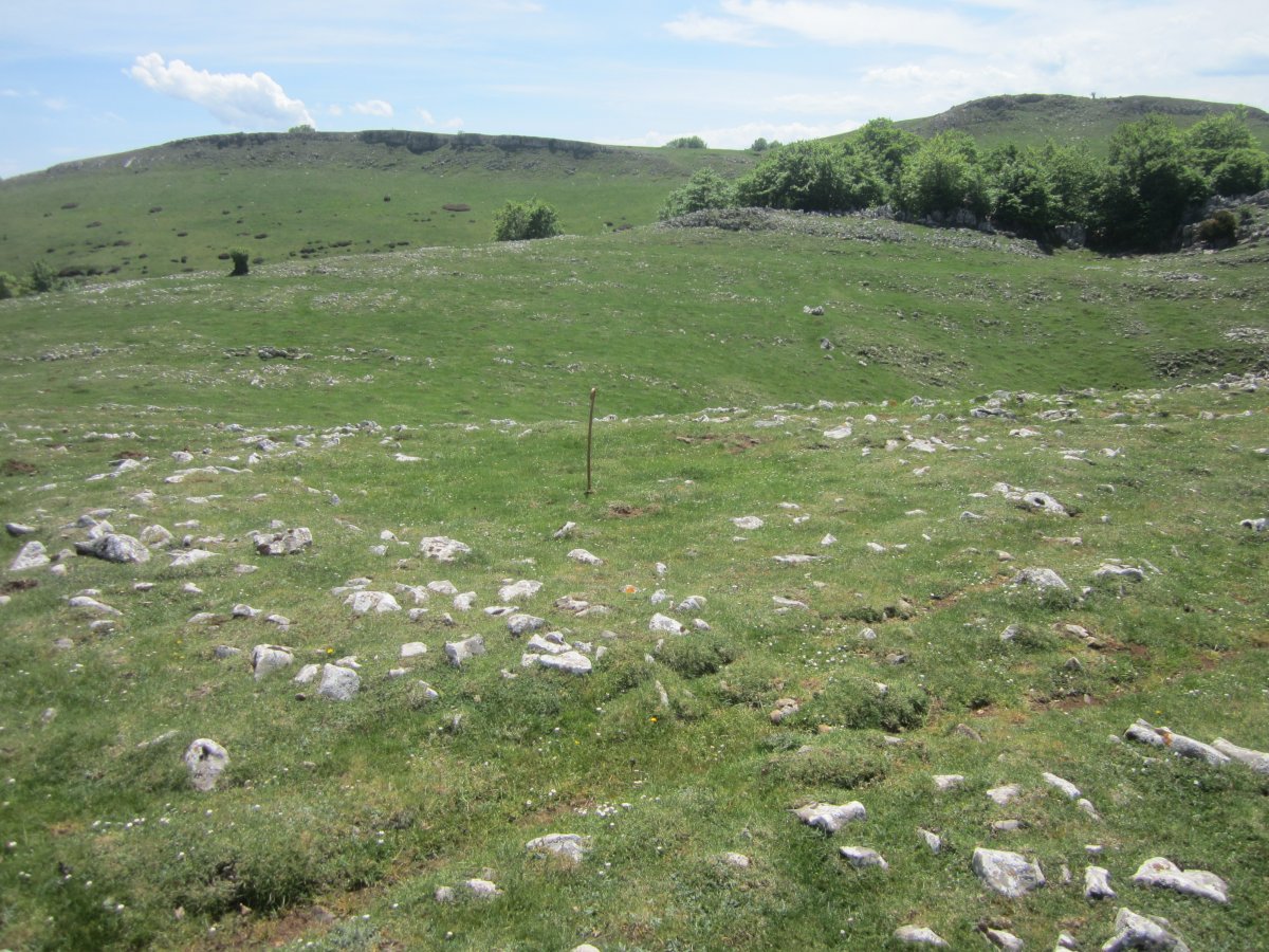 Túmulo Anular Motzeneko Txabola II (05-2022)