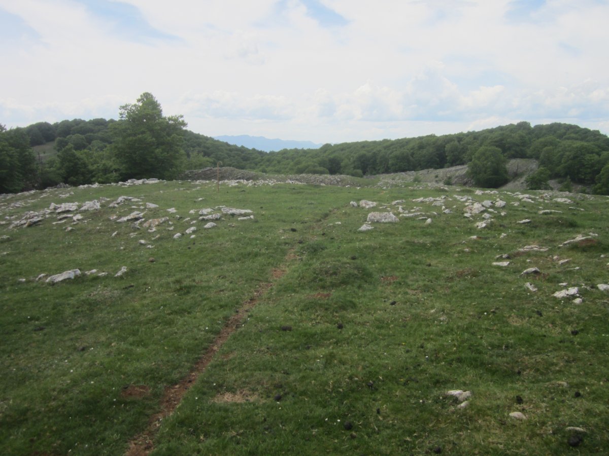 Túmulo Anular Motzeneko Txabola III (05-2022)