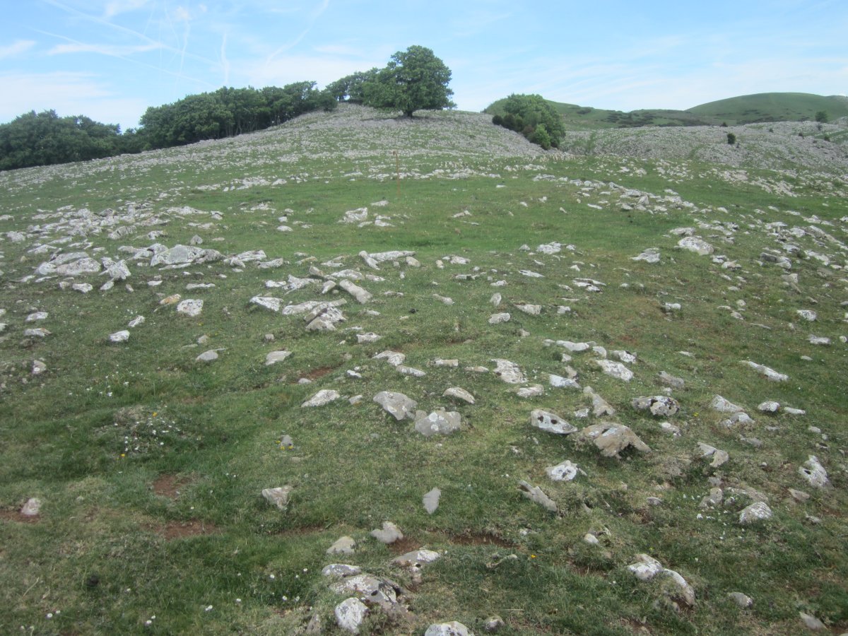Túmulo Anular Motzeneko Txabola III (05-2022)