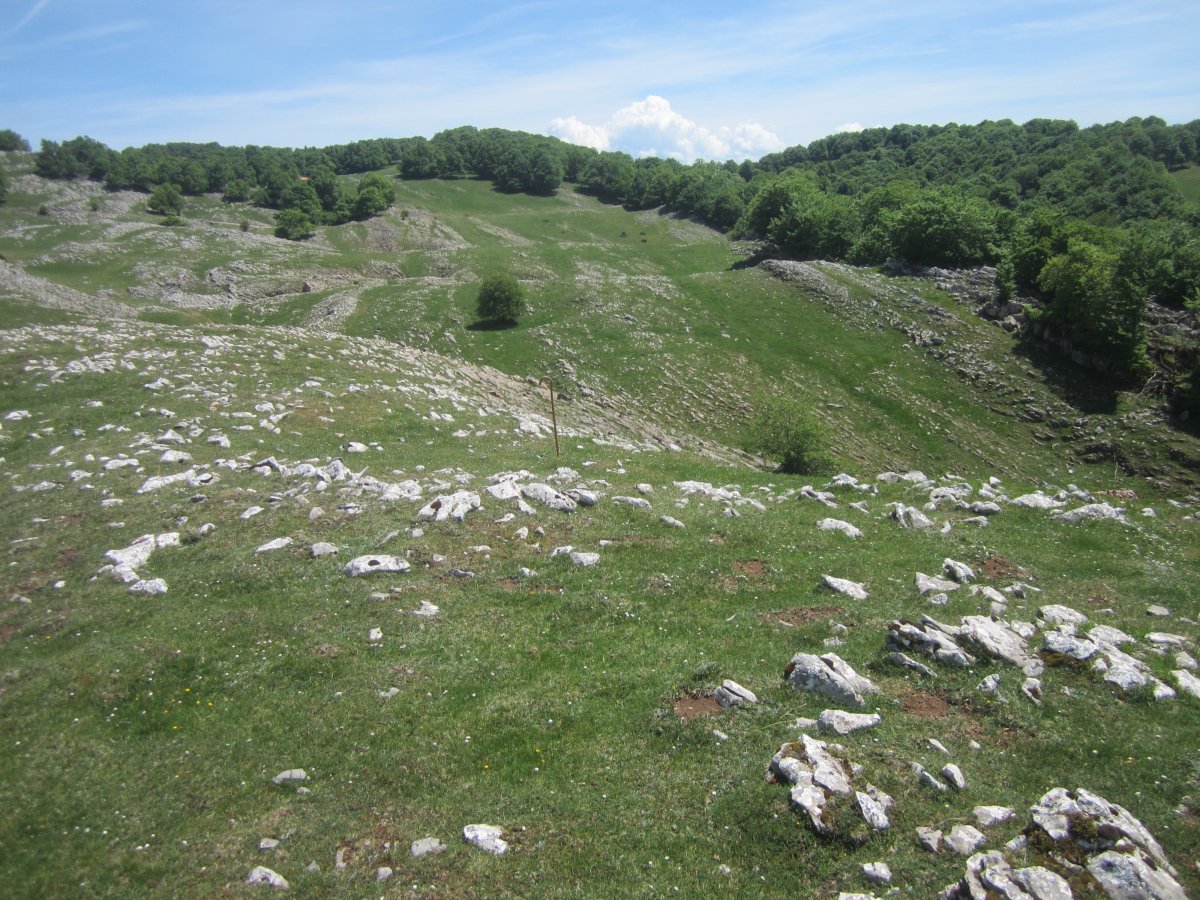 Túmulo Anular Motzeneko Txabola V (05-2022)