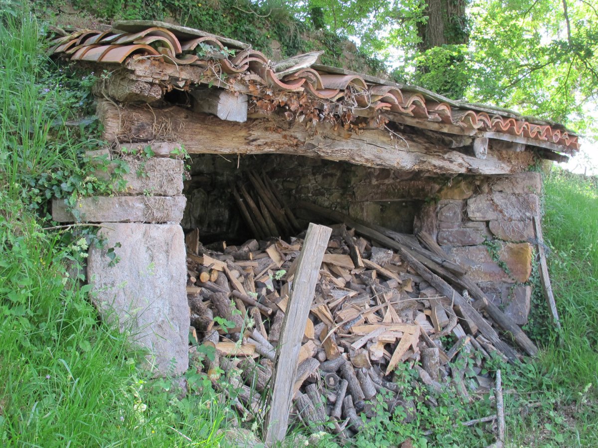 Antxonea karobia, Lekaroz-Baztan