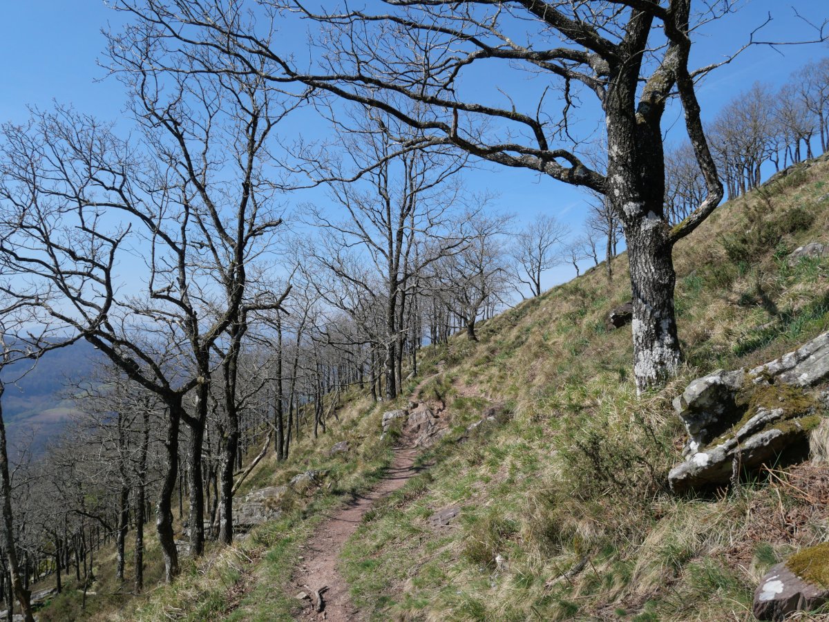 Hegoaldeko hegia zeharkatzen duen bidezidorra