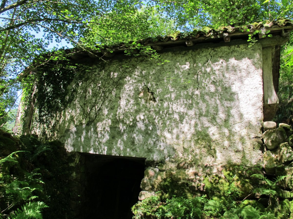 Arraxka erroa, Arizkun-Baztan