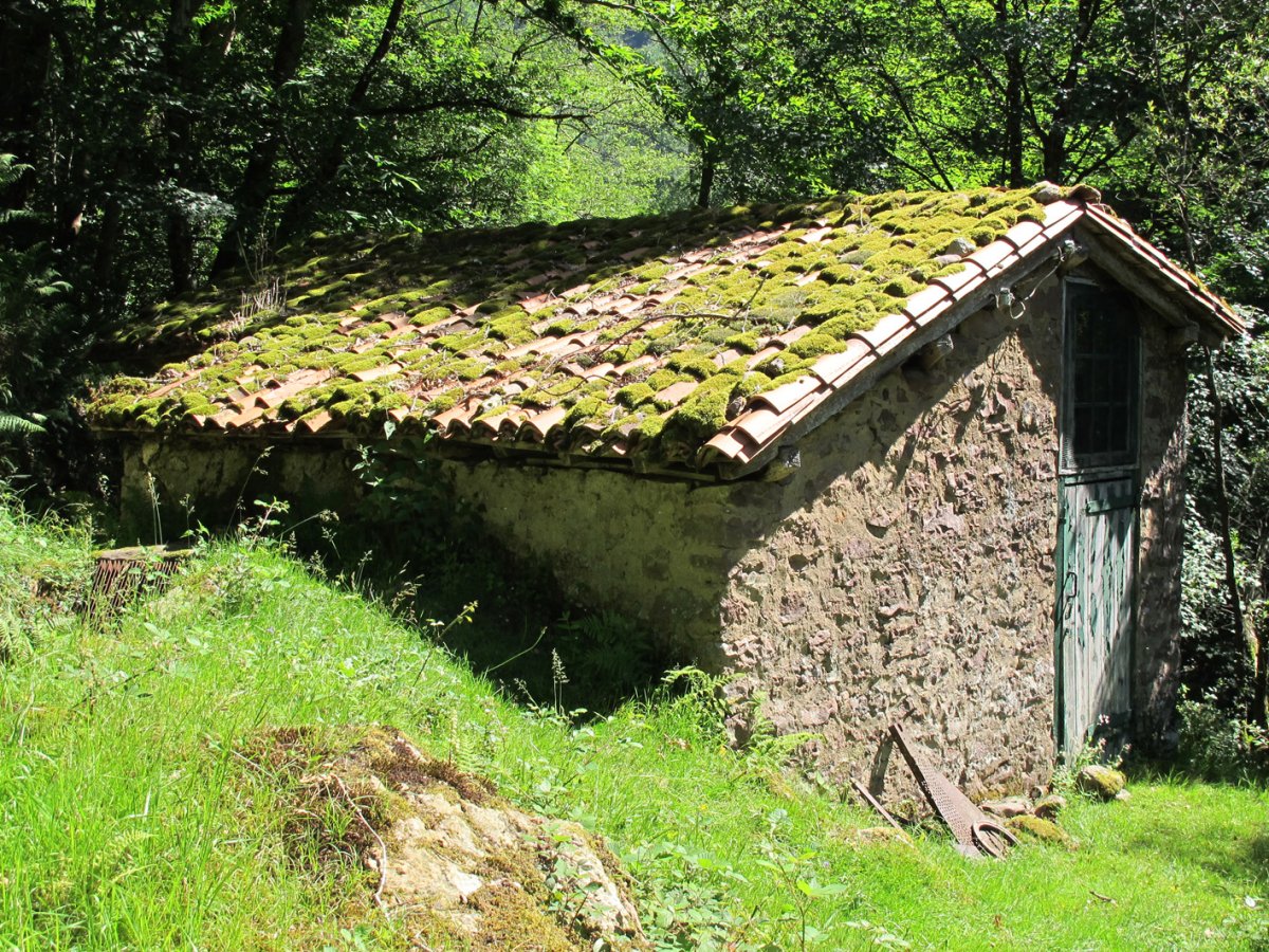 Arraxka erroa, Arizkun-Baztan