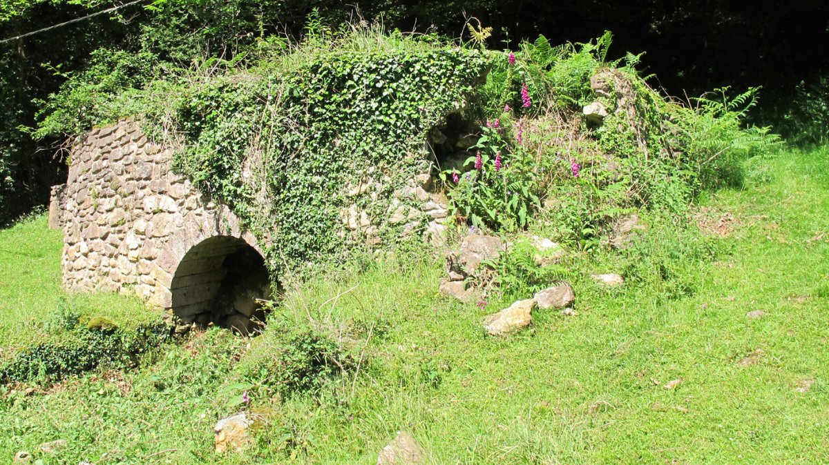 Arrosenea karobia, Arizkun-Baztan