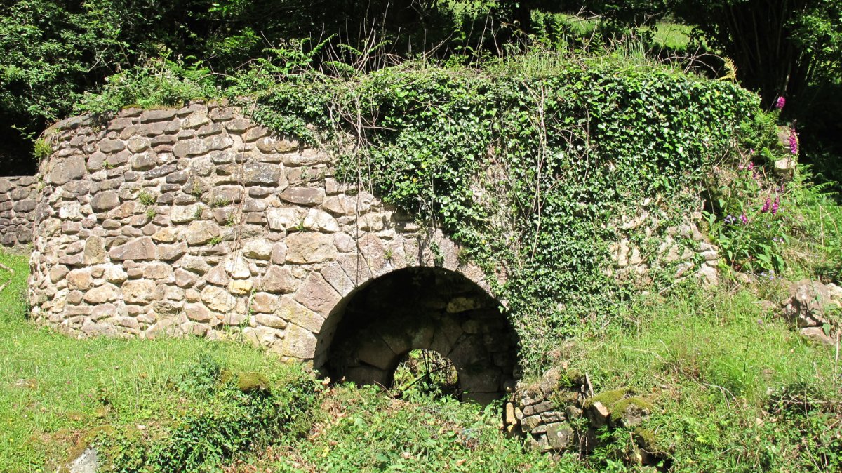 Arrosenea karobia, Arizkun-Baztan