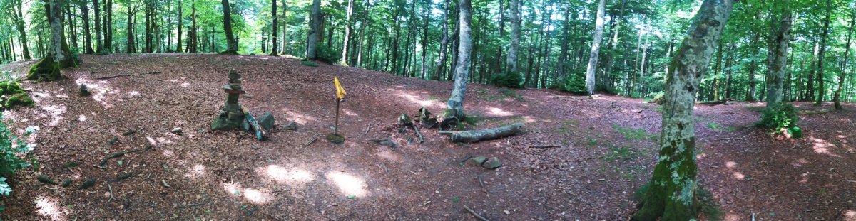 Mendebaldeko Tontorra