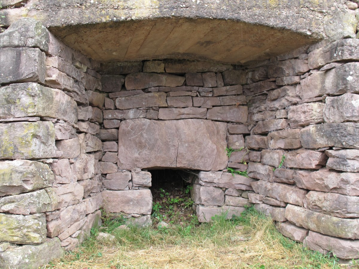 Apaioa karobia, Azpilkueta-Baztan