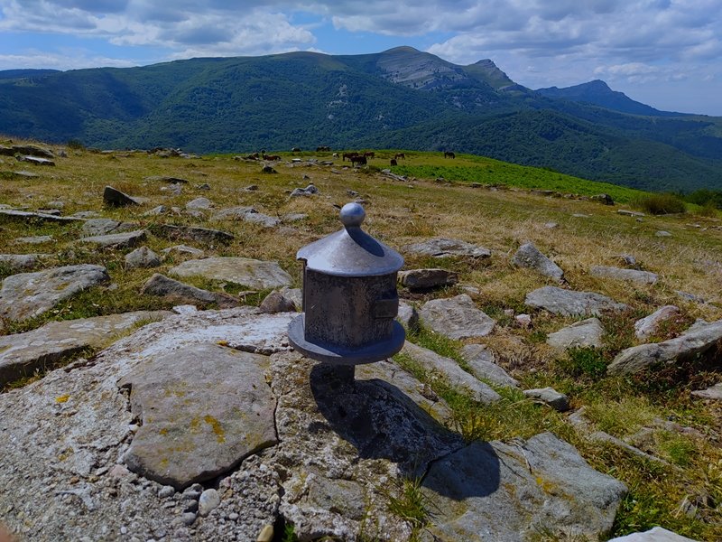 Buzoia.Atzean, Gorbeia