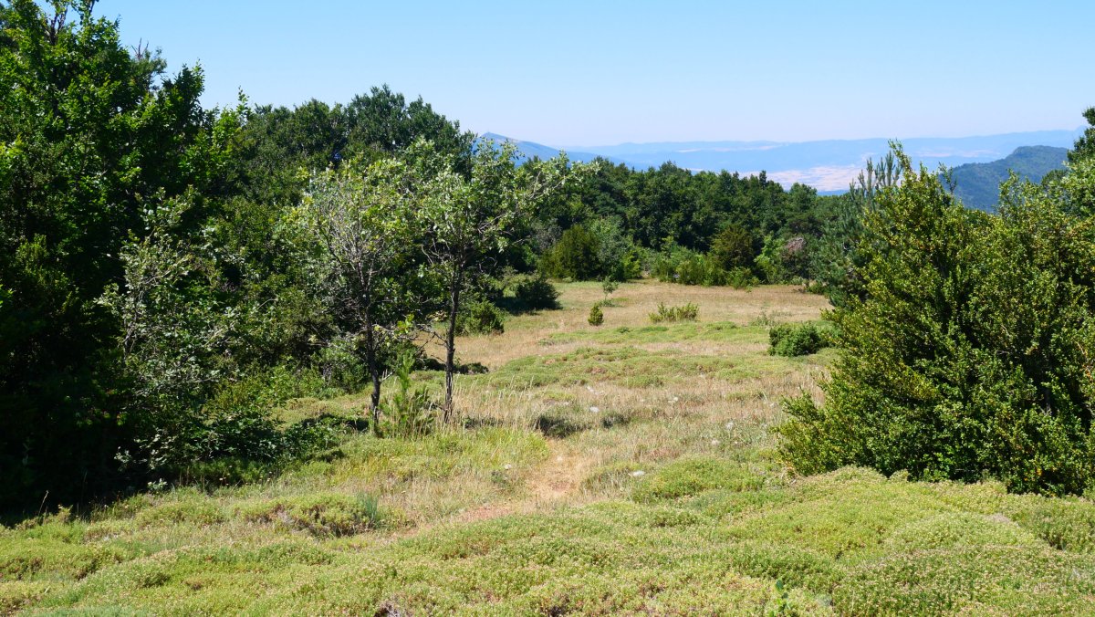 Tontorraren inguruko larre eremua, Borreguil
