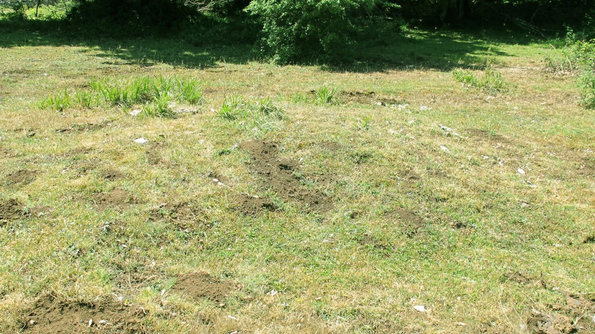 Rasico del Mojón II tumulua, Urbasa