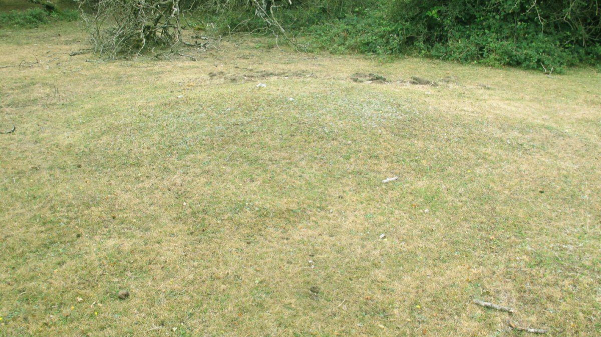 Pedrotxiki XXXIX tumulua, Urbasa