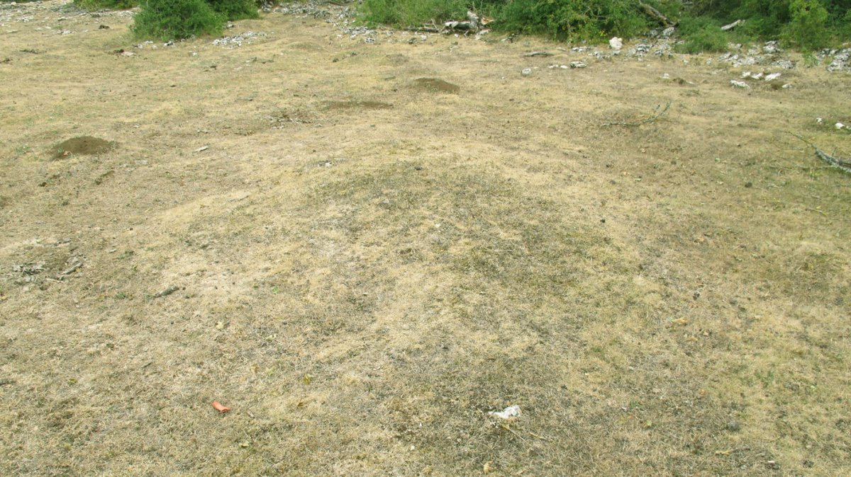 Armorkora IX tumulua, Urbasa