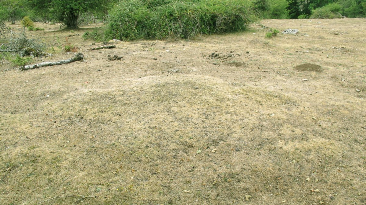 Armorkora IX tumulua, Urbasa