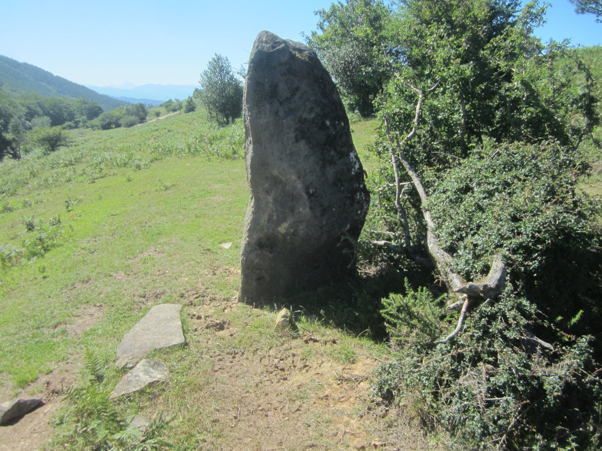 Monolito Naparbide (Junio 2022)