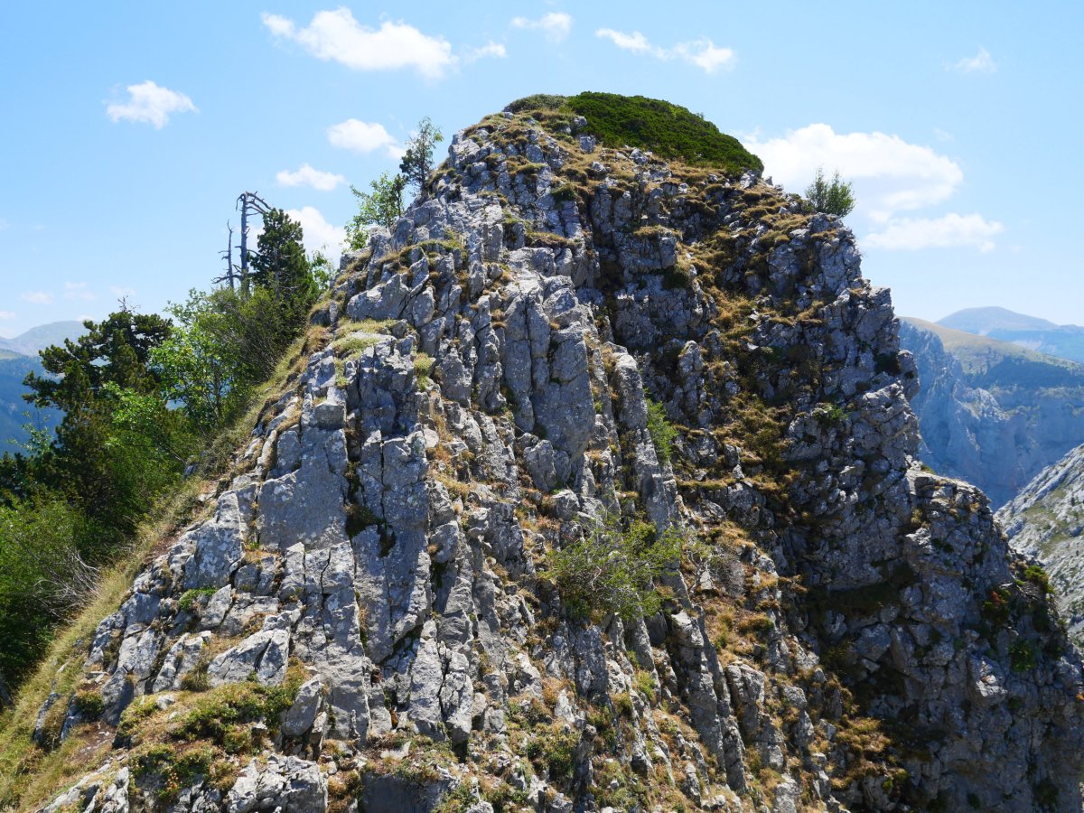 Abizondo, tontorra mendebaldetik
