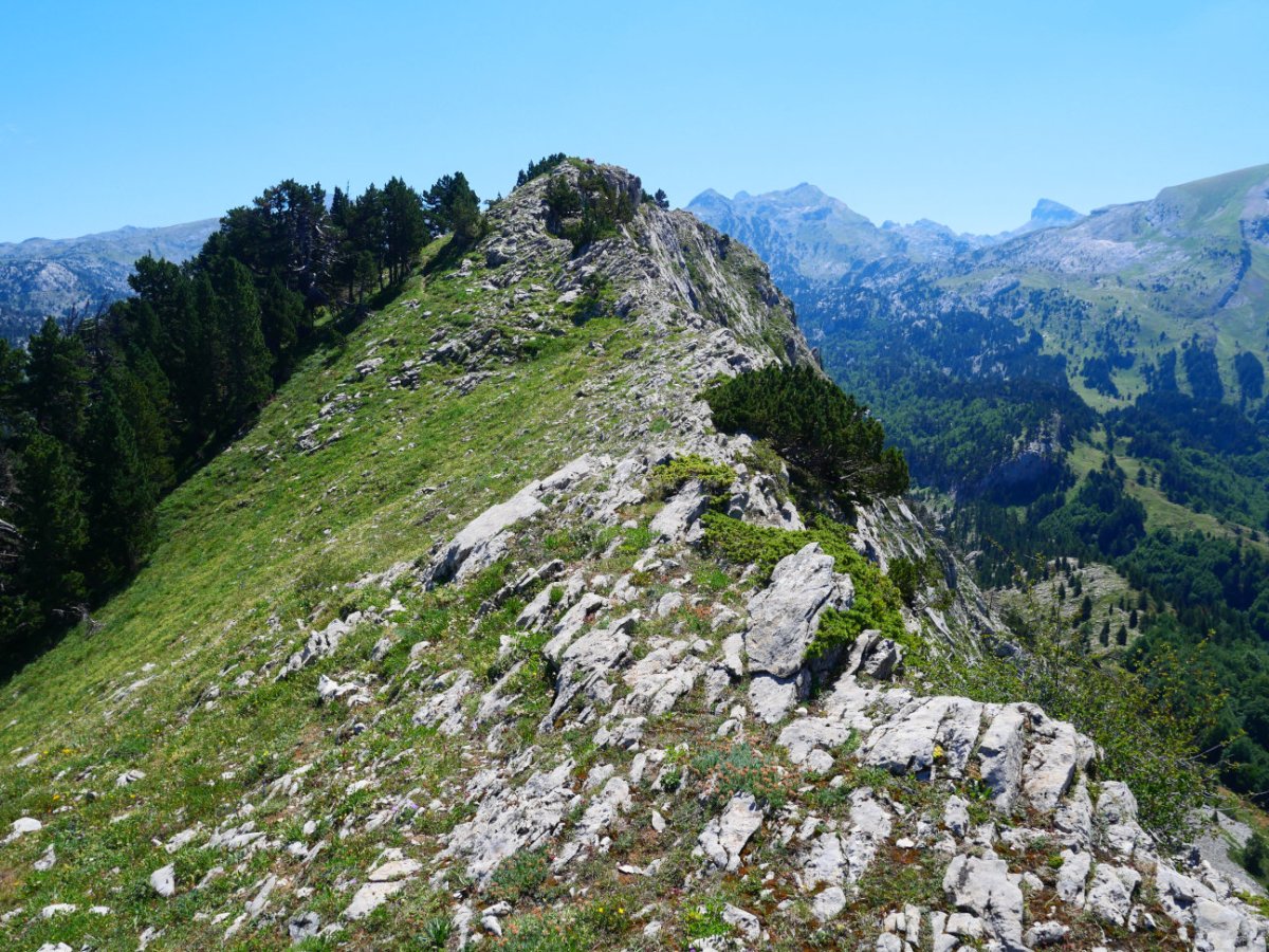 Mendebaldeko bizkarreko pasarte bat, Lapazarra