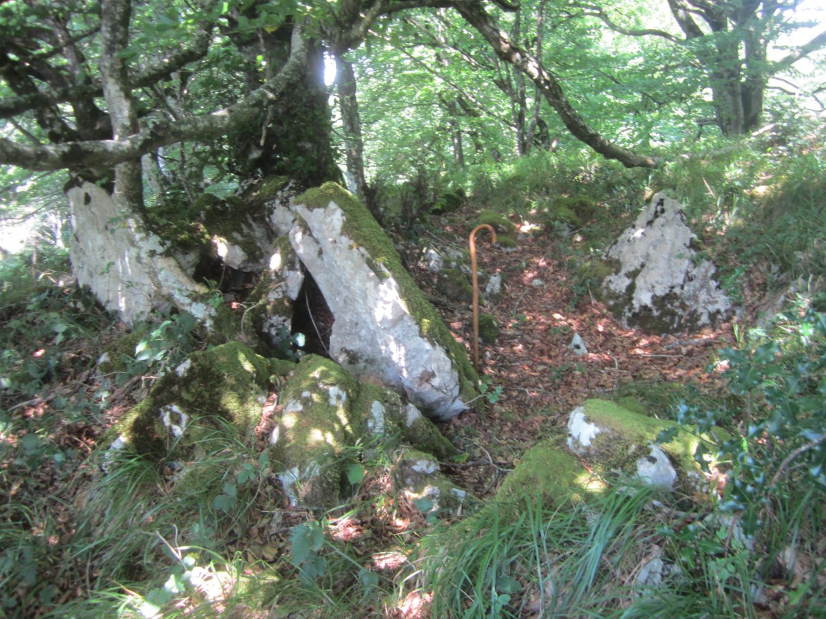 Lizarrandigañe 1 Este