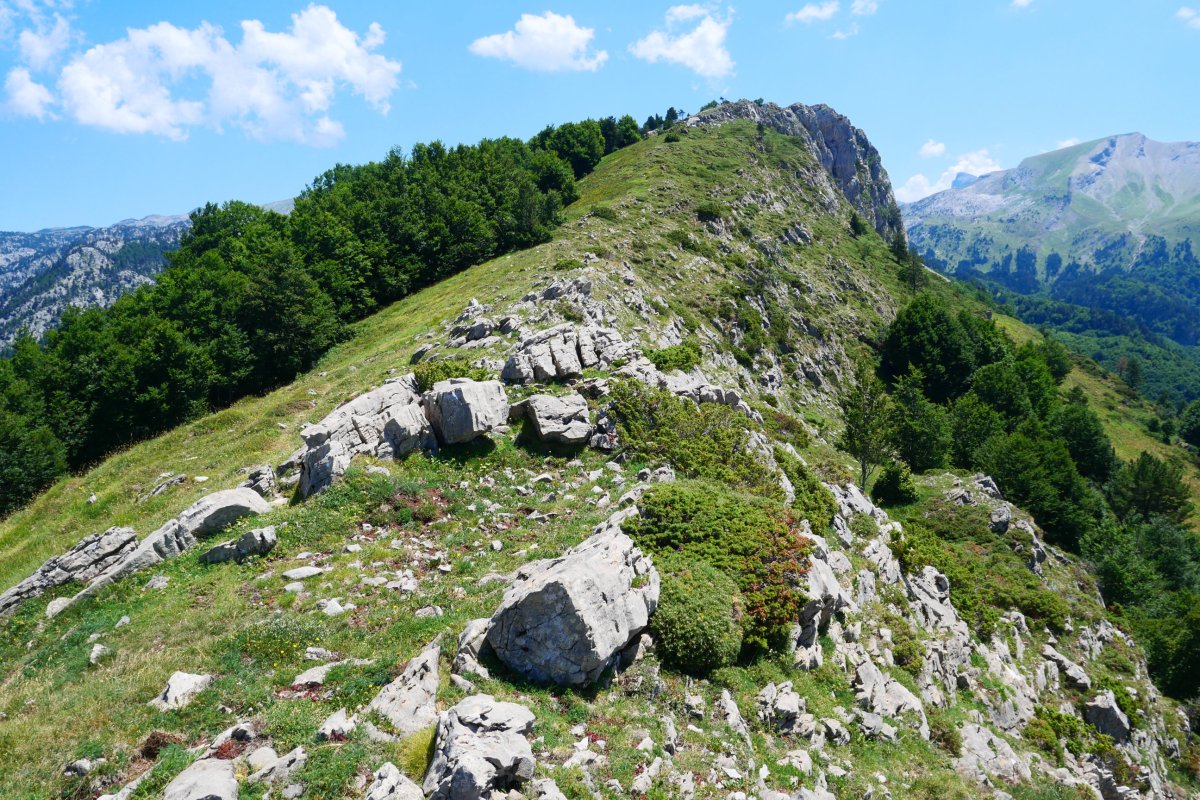 Lapazarra mendebaldeko bizkarretik