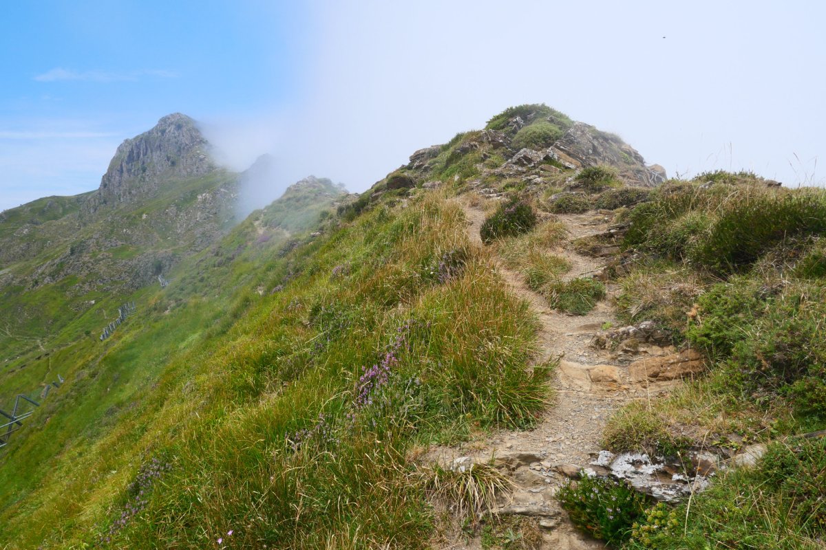Ekialdeko bizkarra iparraldeko lanbroari eutsi ezinik, Lakhura