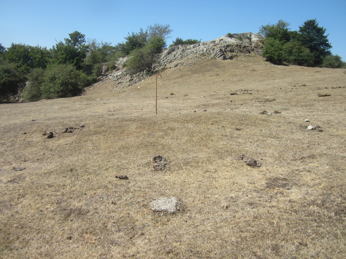 Fondo de Cabaña  Ollideko Bizkarra 1  (Agosto 2022)