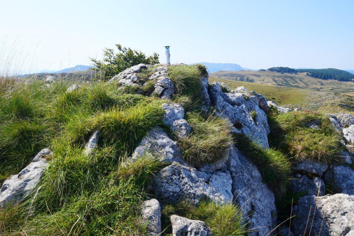 Kurutzeaga, tontorra