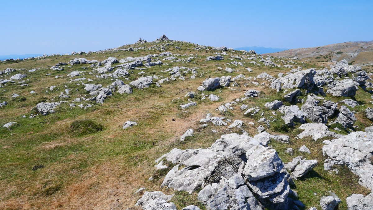 Txartelontzia, Mendiaundi