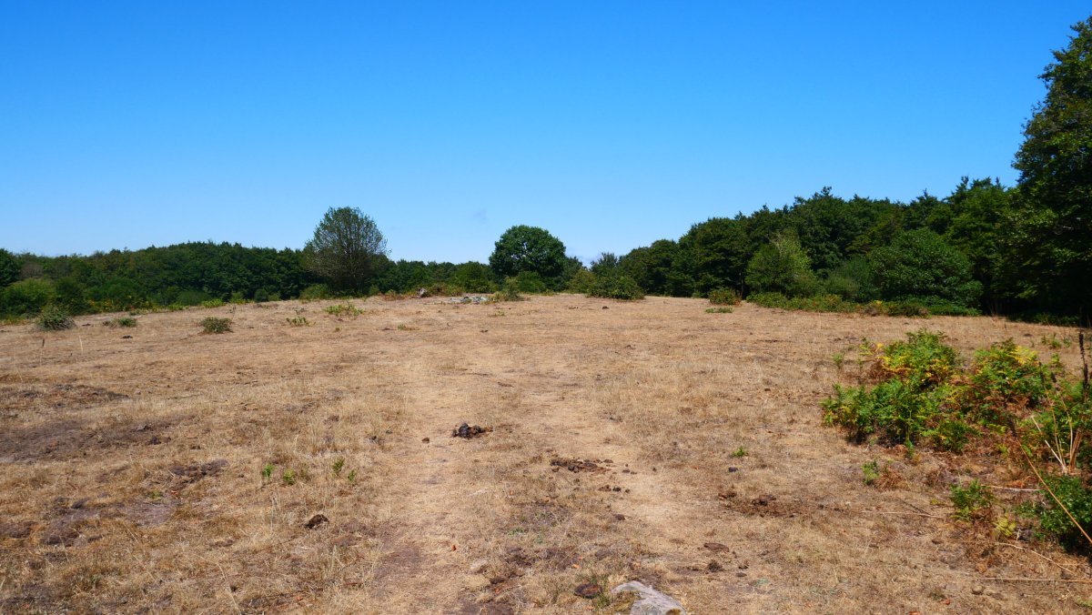 Xuritzeko gailur zabala