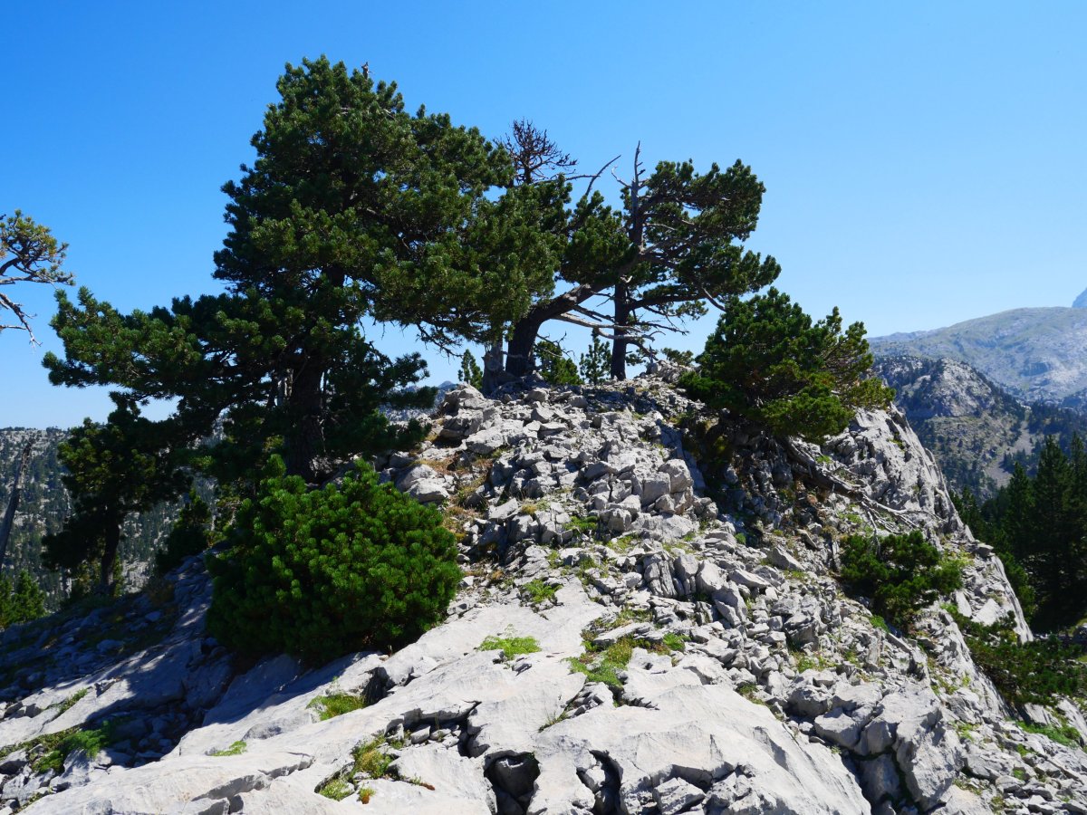 Puntal de Abajo de Ukerdi tontorra