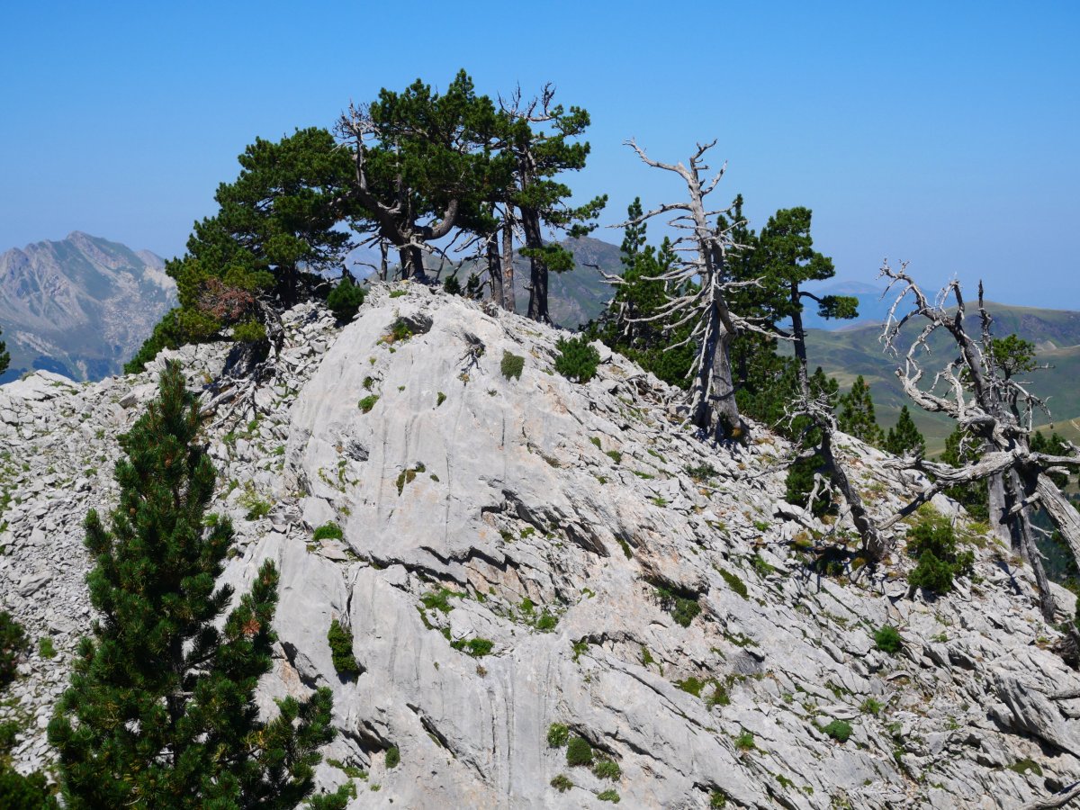 Puntal de Abajo de Ukerdi tontorra