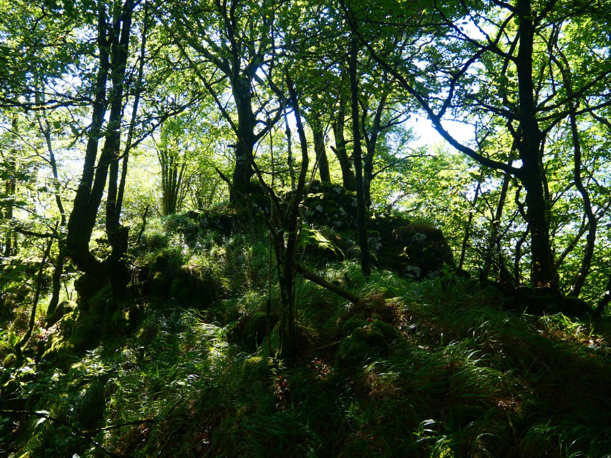 Irumugarrieta / Irumugeta / Irumuga tontorra, ekialdean