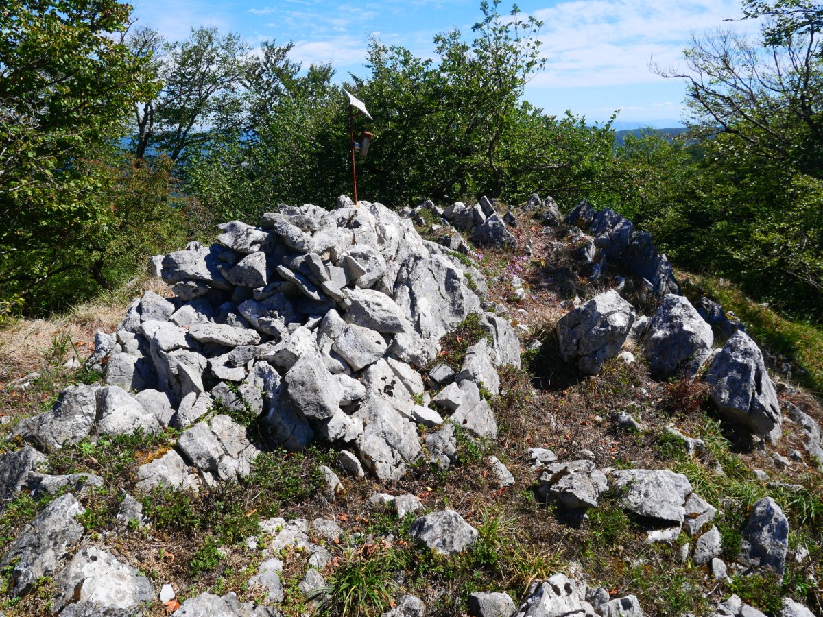 Tontorra, Eguerdimuño