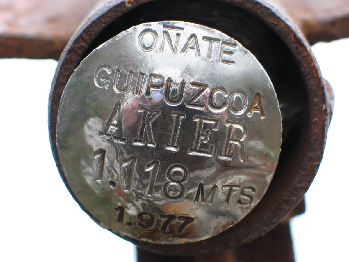 Buzoiaren xehetasunak