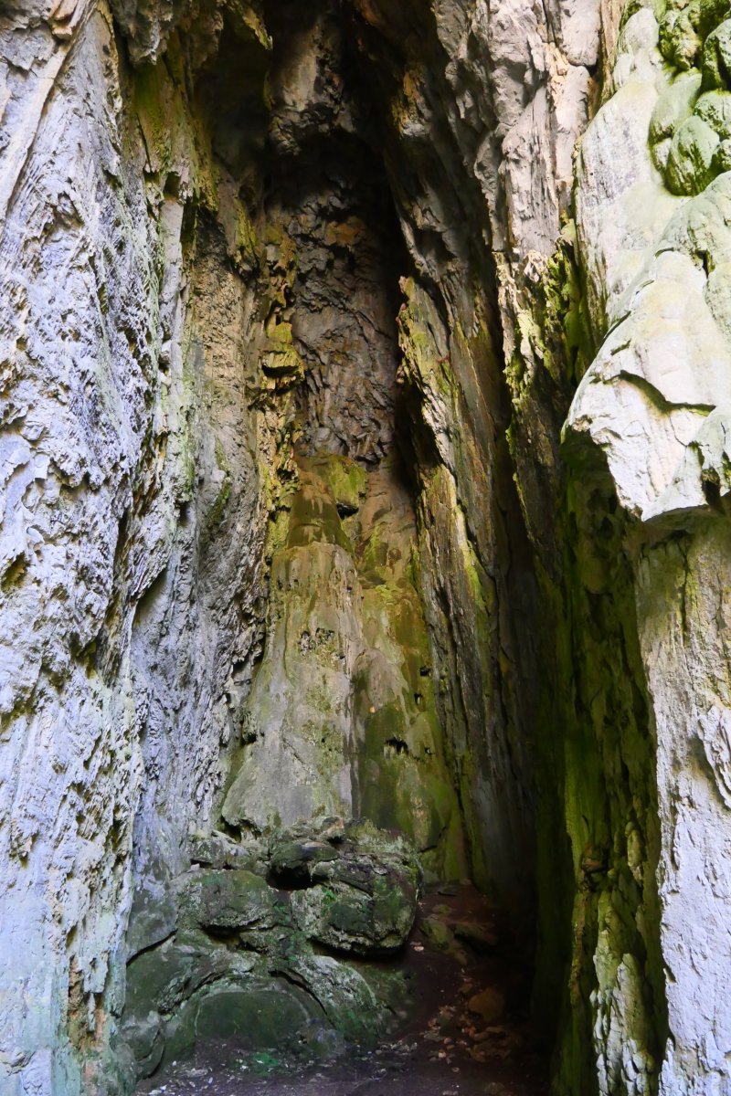 Ezkaurreko Pasabideko koba