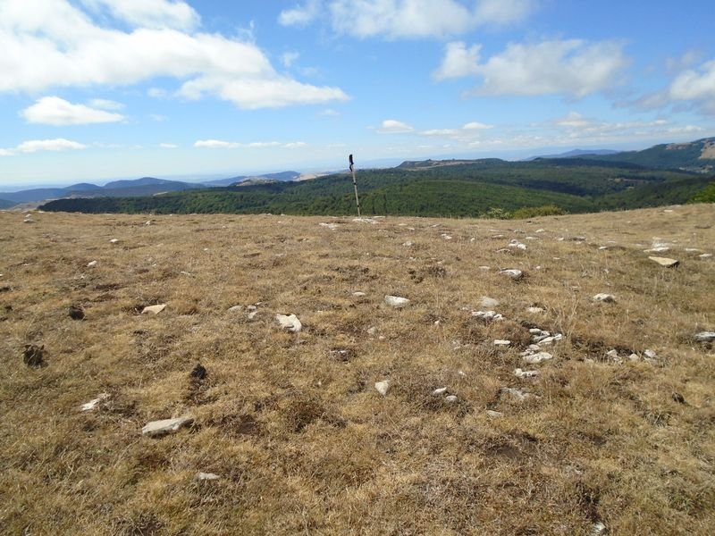 peña elordia tumulua