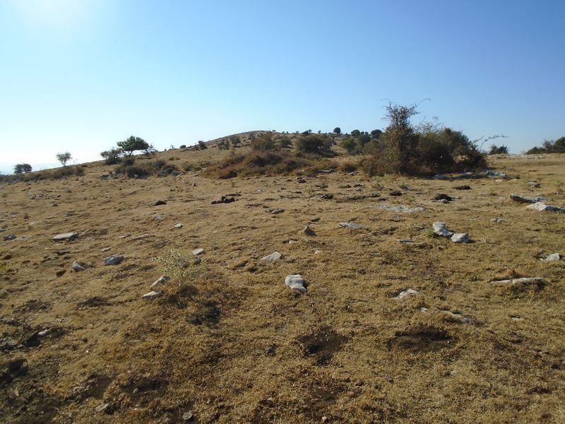 corrales de arteta 1