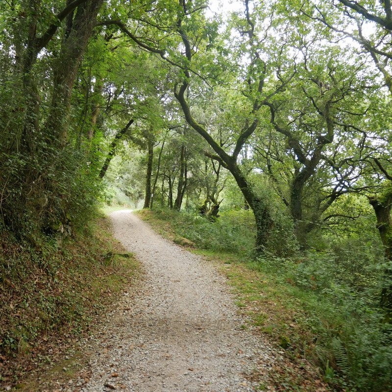 Armintza eta Urizar arteko bidea