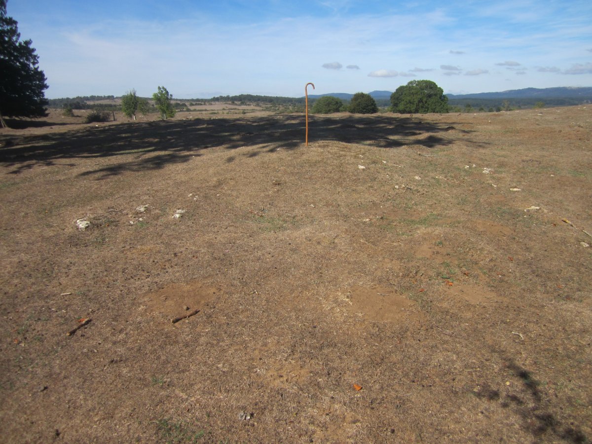 Túmulo Corrales de Zudaire (Septiembre 2022)