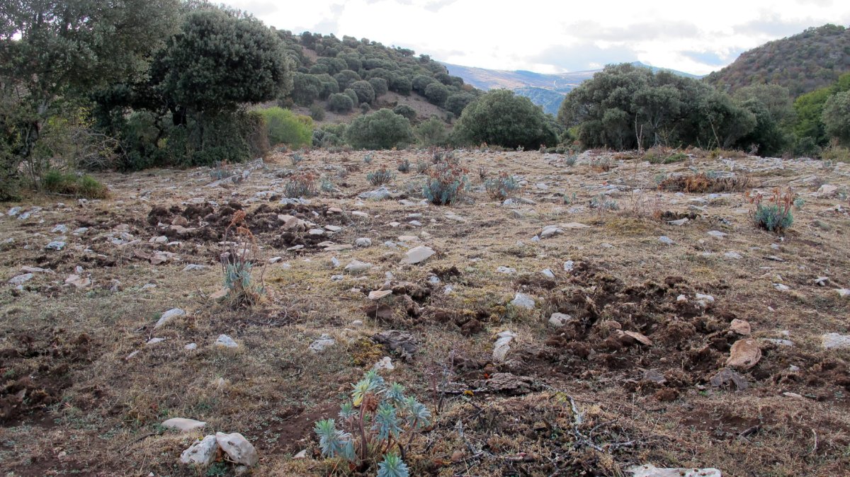 Corrales de Ateta 2 tumulua, Arteta-Ollo