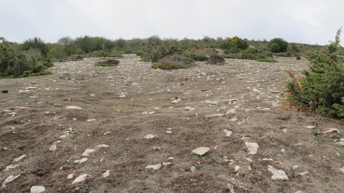 Treshayas eraztun tumulua, Andia