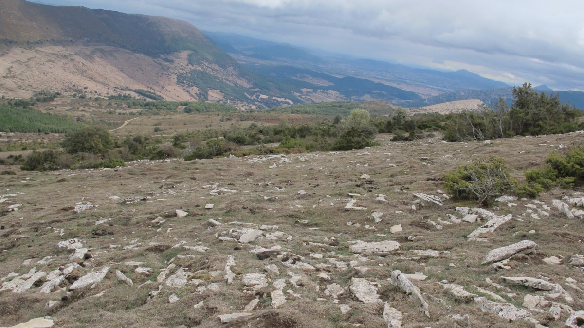 Alzemear 5 eraztun tumulua, Andia